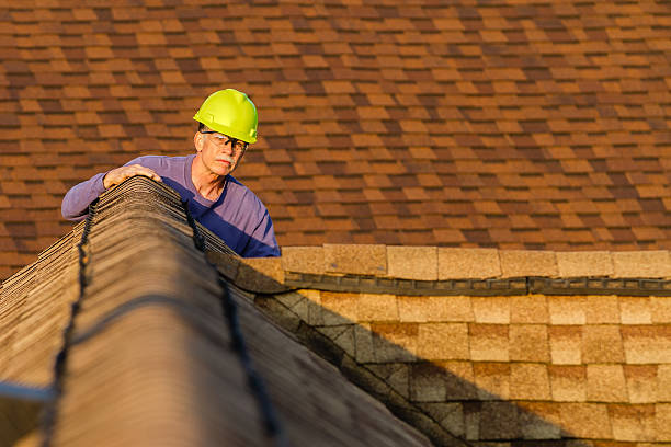 Best Roof Gutter Cleaning  in Lake Linden, MI