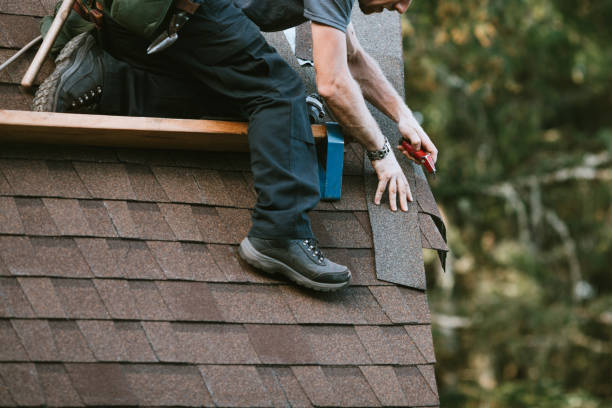 Best Roof Maintenance Services  in Lake Linden, MI